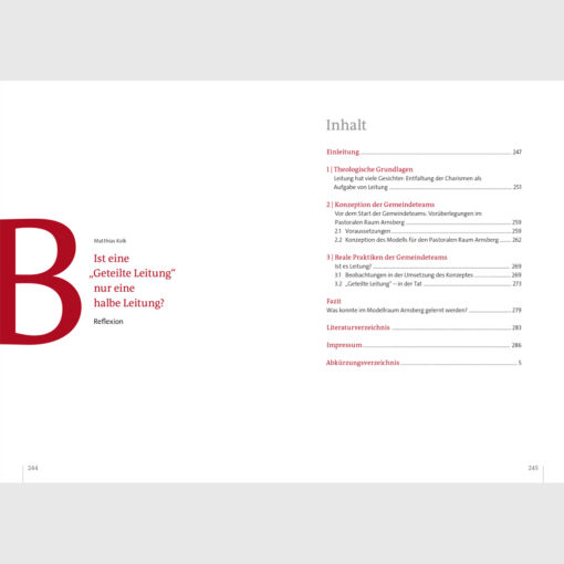 Inhaltsverzeichnis Projektbericht 2. Band - Wenn Gemeindeteams Leitung übernehmen